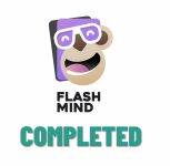 FlashMind logo 4