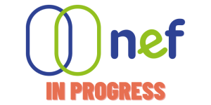 NEF : Digital and Empowerment in Social Work Training