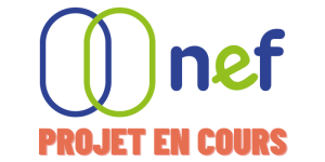 NEF : Numérique et Empowerment en Formation de travail social