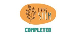 Projects logo - website(22)